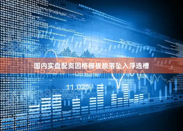 国内实盘配资因格栅板脱落坠入浮选槽