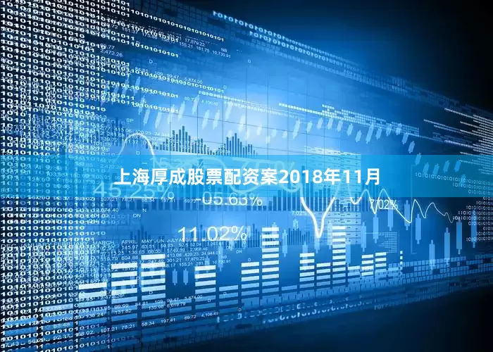 上海厚成股票配资案　　2018年11月